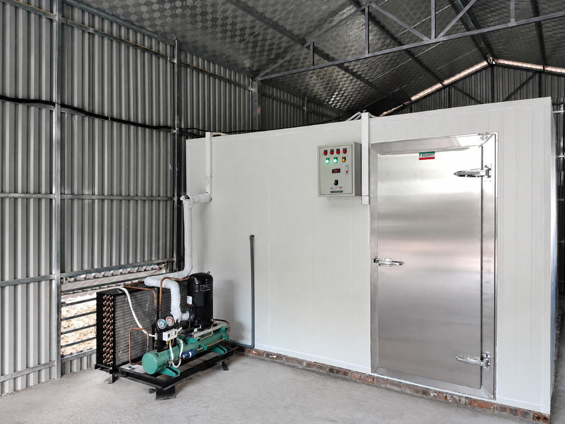 Kho lạnh bảo quản thực phẩm, nông sản
